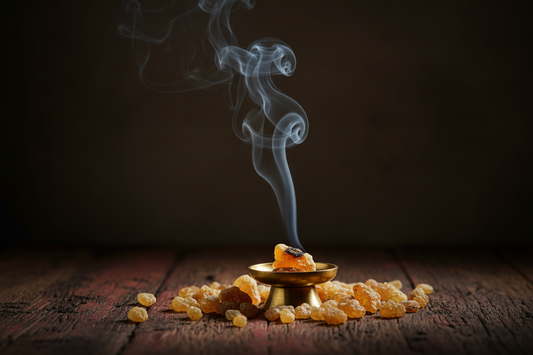 Meet Frankincense | The Ancient Resin That Inspires Our Botanical Perfumes | FRANK AND LAZULI